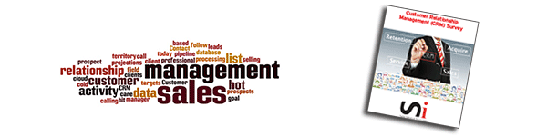 Sales Initiative National CRM usage survey